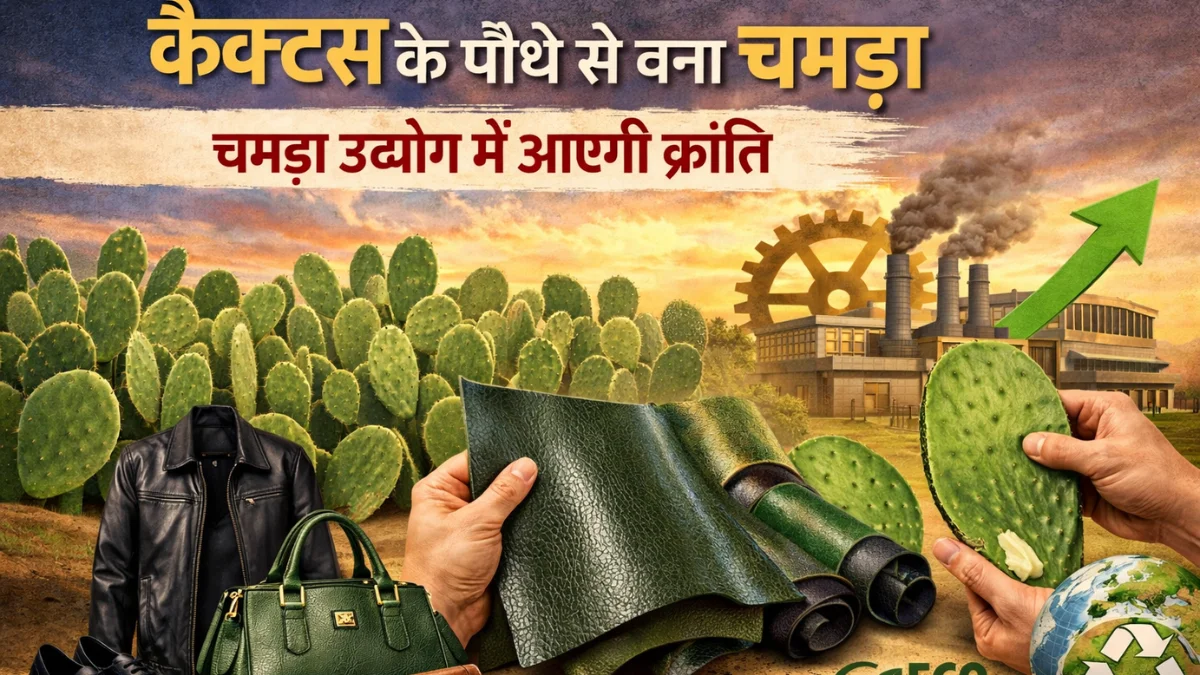 कैक्टस से बनेगा चमड़ा: लेदर उद्योग में आ सकती है नई क्रांति