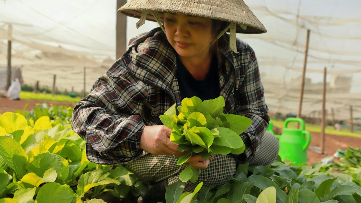 जैविक खाद क्यों जरूरी है? रासायनिक उर्वरकों के नुकसान और जैविक खेती के फायदे