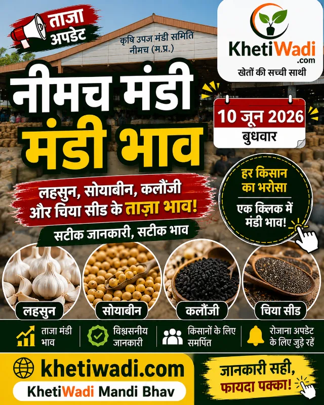 नीमच मंडी रिपोर्ट