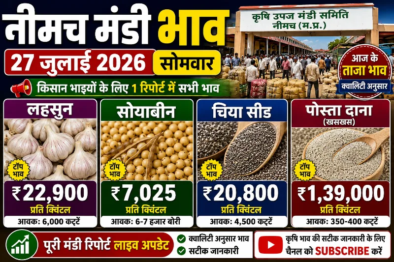 नीमच मंडी रिपोर्ट