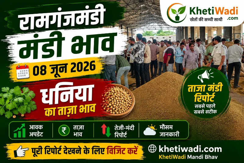रामगंजमंडी धनिया मंडी भाव 08 जून 2026