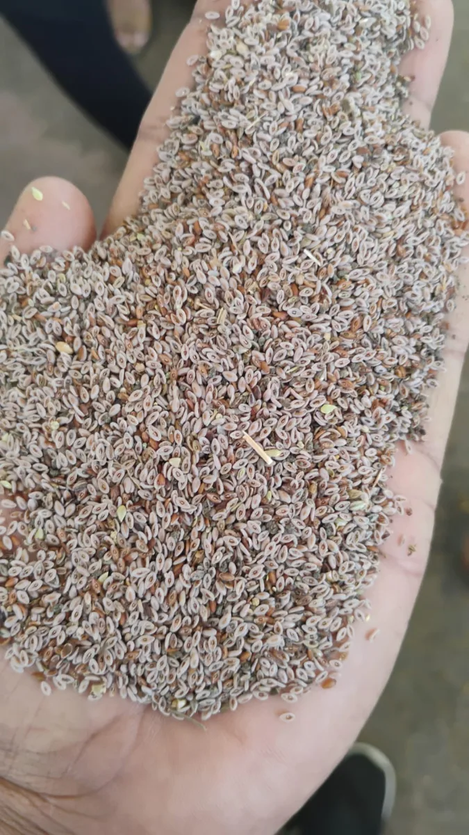 9500