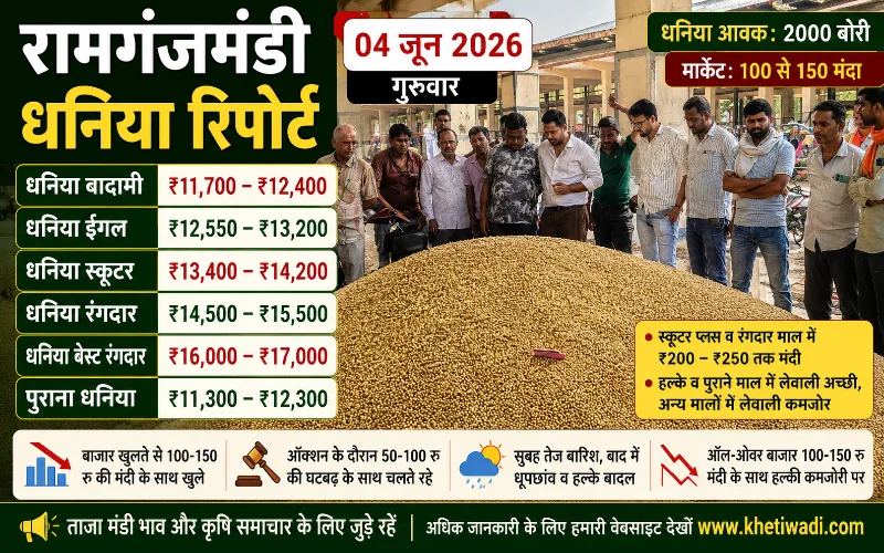 रामगंजमंडी धनिया भाव | 4 जून 2026 मंडी रिपोर्ट