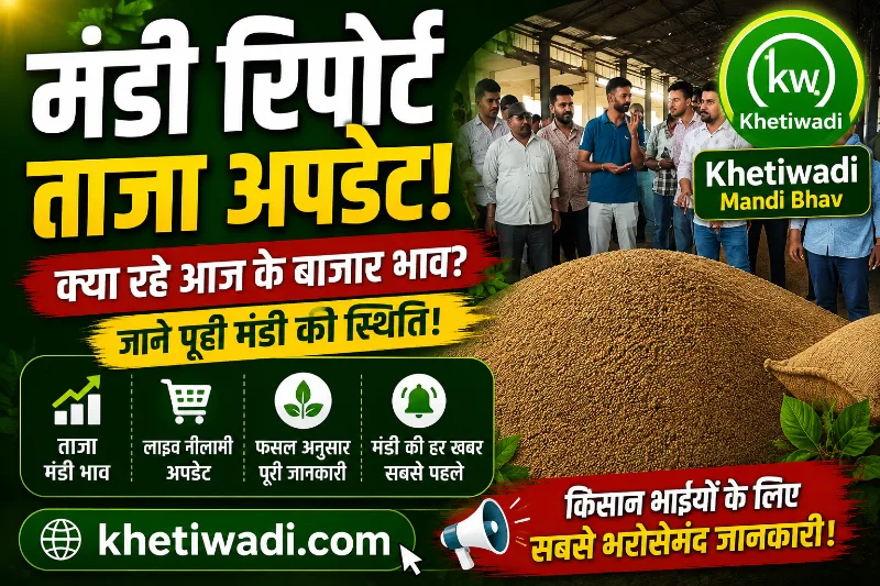रामगंजमंडी रिपोर्ट 5 जून 2026: धनिया के ताजा भाव और बाजार मंदी