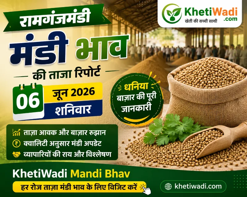 रामगंज मंडी रिपोर्ट