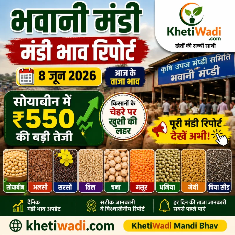 भवानी मंडी रिपोर्ट