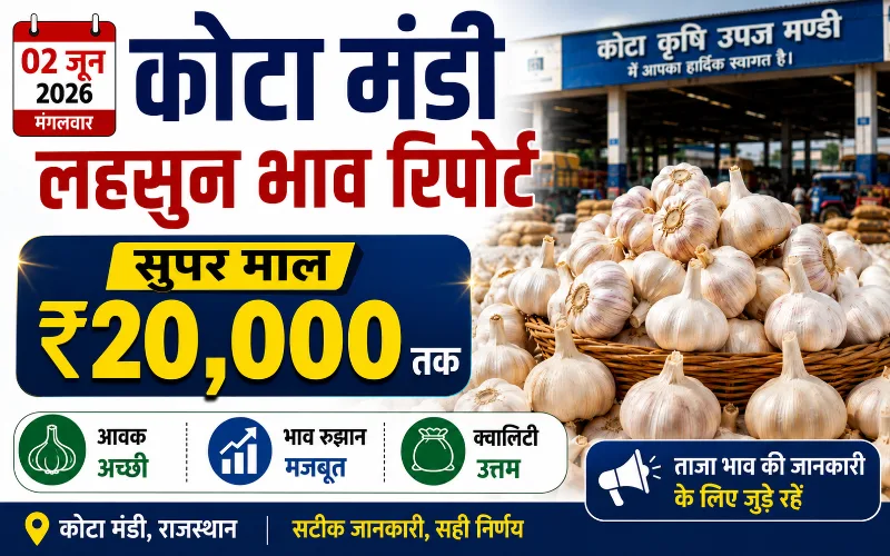 02 जून 2026 कोटा मंडी लहसुन भाव रिपोर्ट | सुपर माल ₹20,000 तक