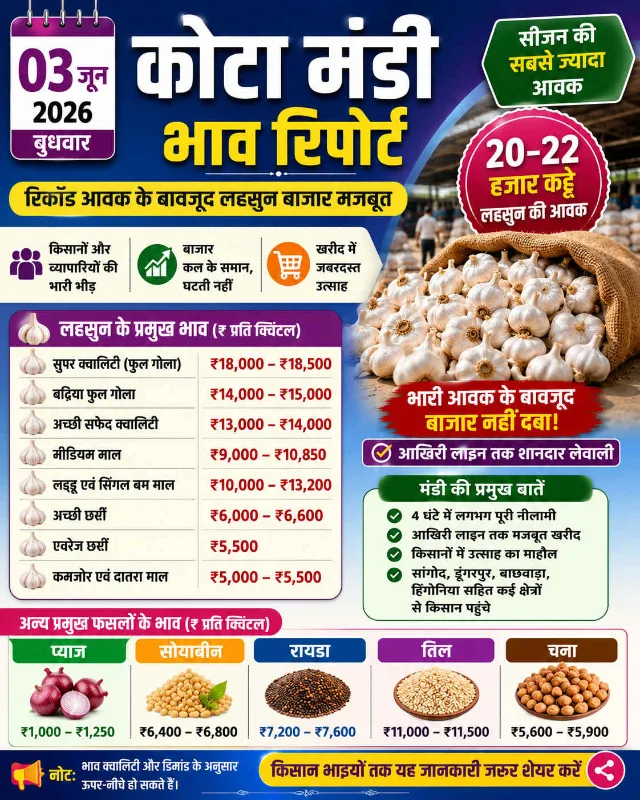 कोटा मंडी रिपोर्ट