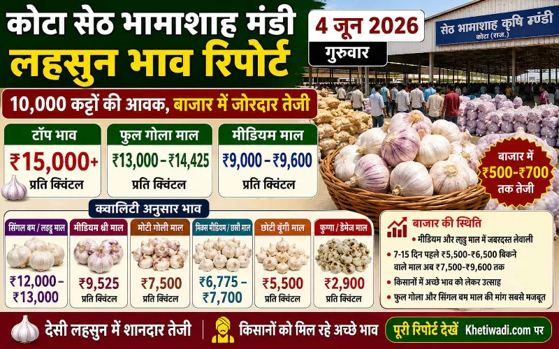 कोटा मंडी रिपोर्ट
