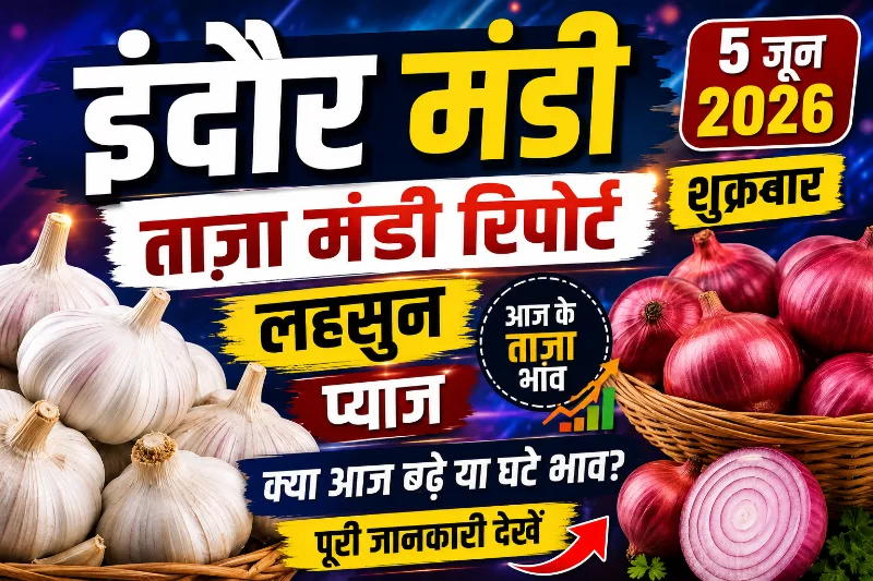 इंदौर मंडी रिपोर्ट 5 जून 2026: लहसुन और प्याज के ताजा भाव