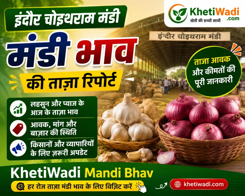 इंदौर मंडी रिपोर्ट