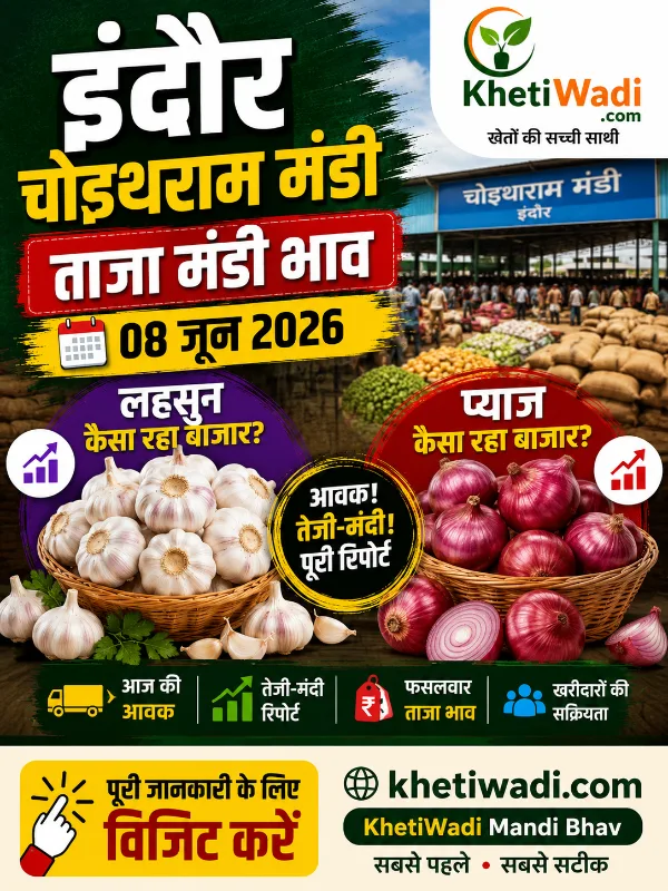 इंदौर मंडी रिपोर्ट