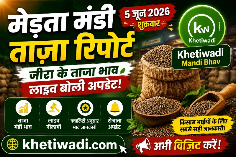 मेड़ता मंडी रिपोर्ट