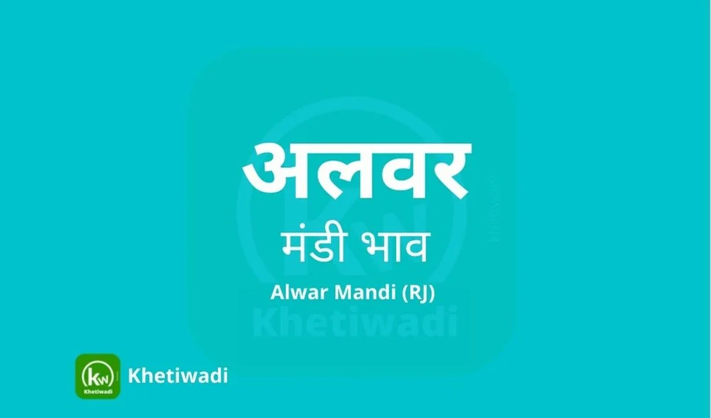 Alwar Mandi - अलवर मंडी मंडी भाव 12-04-2023