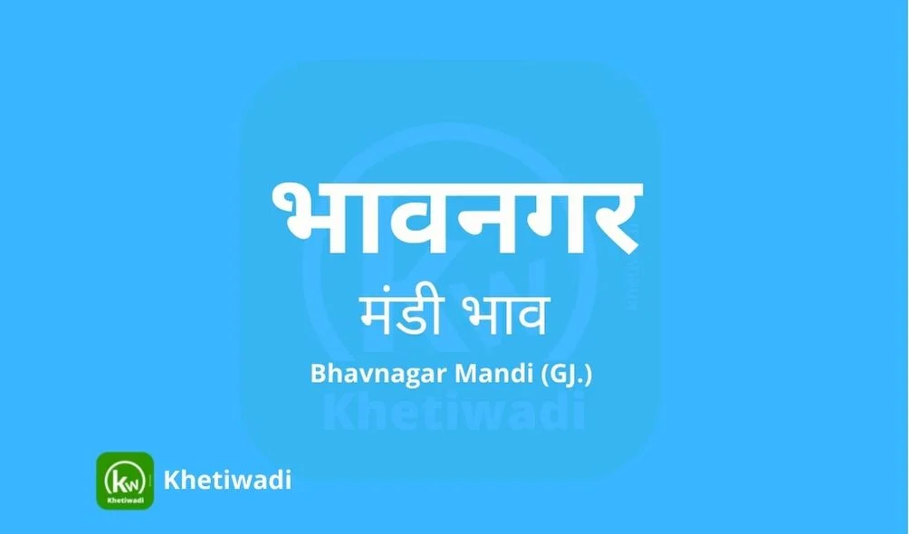 Bhavnagar Mandi thumbnail