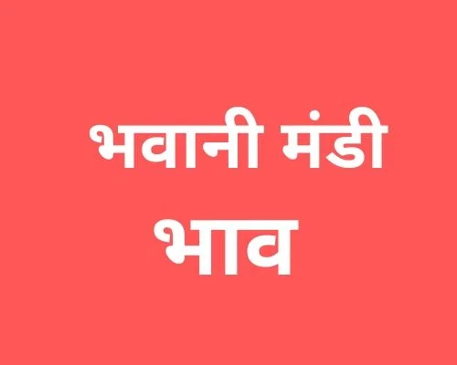 Bhawani Mandi - भवानी मंडी मंडी भाव 21-03-2024