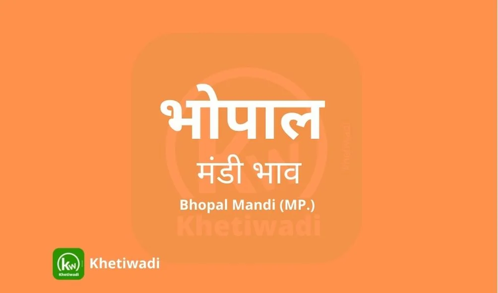 Bhopal Mandi - भोपाल मंडी मंडी भाव 28-04-2025