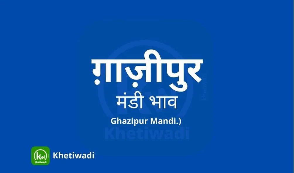 Ghazipur Mandi - ग़ाज़ीपुर  मंडी मंडी भाव 05-02-2025
