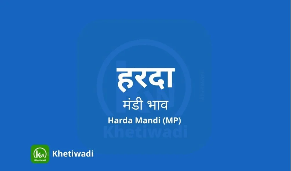 Harda Mandi - हरदा मंडी मंडी भाव 20-03-2025