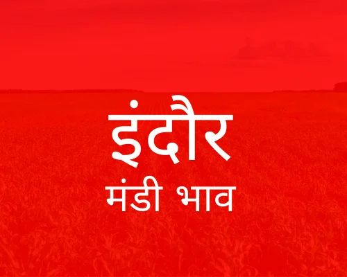 Indore Mandi - इंदौर मंडी मंडी भाव 04-09-2023