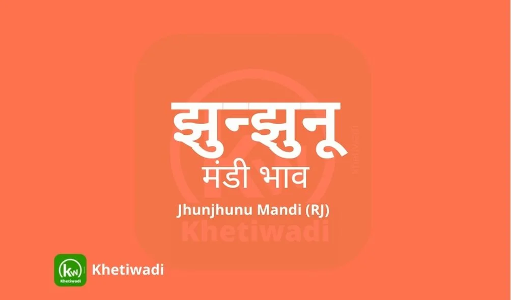 Jhunjhunu Mandi - झुन्झुनू मंडी मंडी भाव 17-03-2025