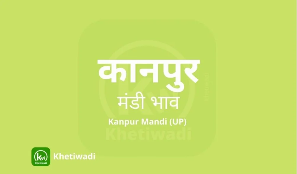 Kanpur Mandi - कानपुर मंडी मंडी भाव 10-05-2023