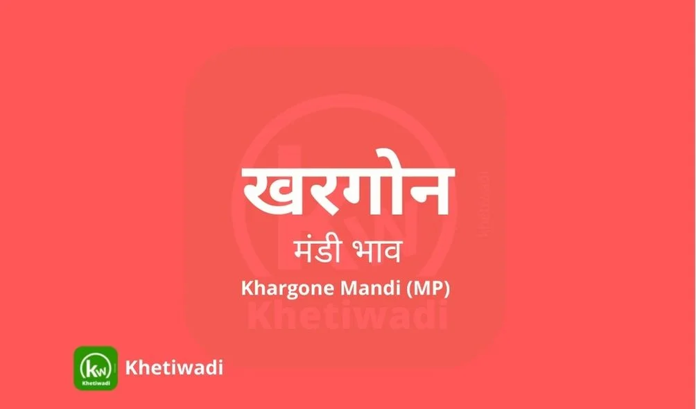 Khargone Mandi - खरगोन मंडी मंडी भाव 27-01-2025