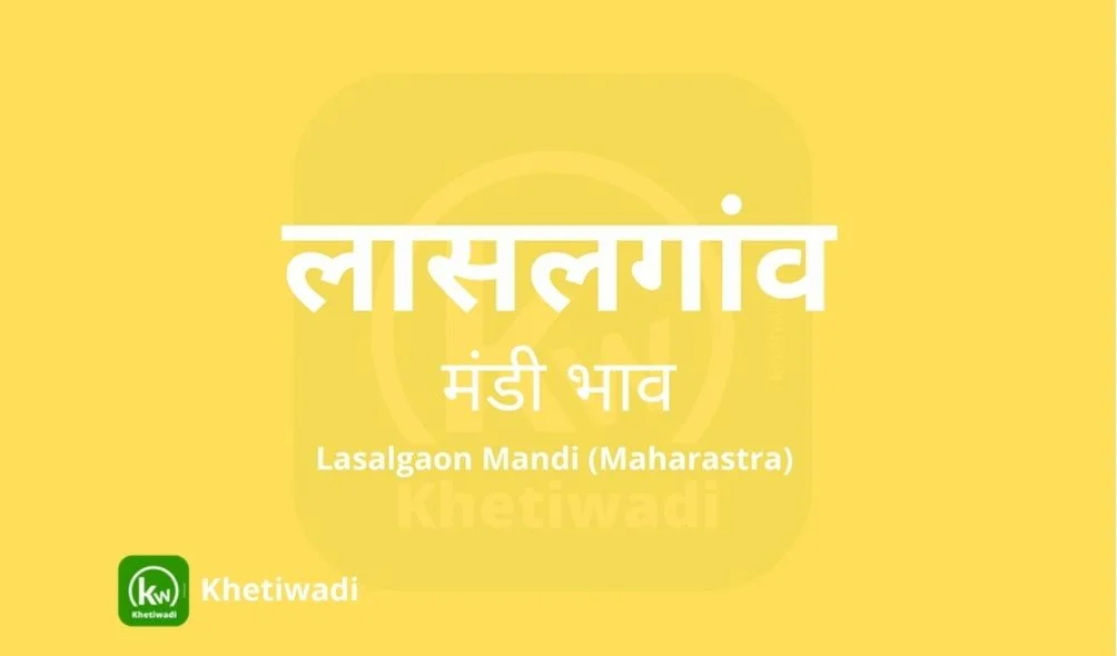 Lasalgaon Mandi