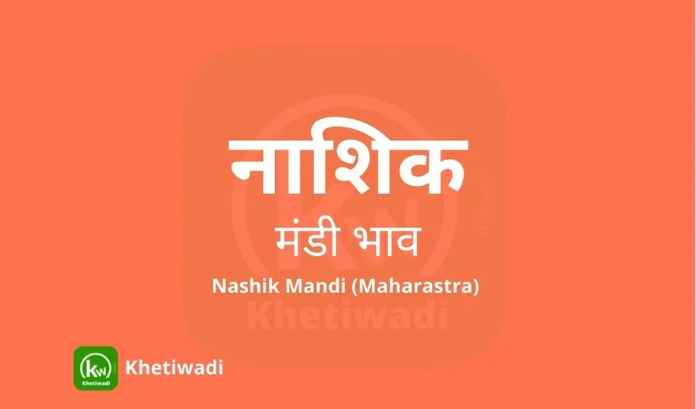 Nashik Mandi - नाशिक मंडी मंडी भाव 07-10-2023