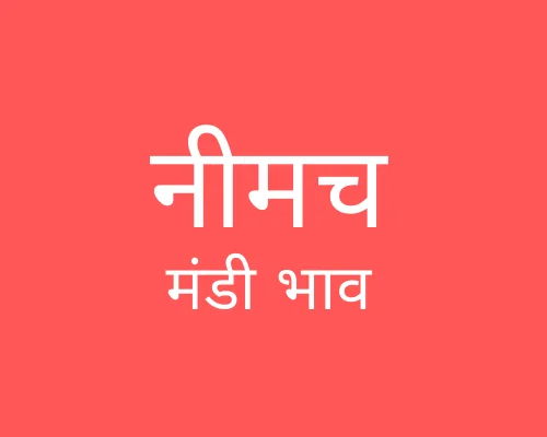 Neemuch Mandi - नीमच मंडी मंडी भाव 18-05-2023