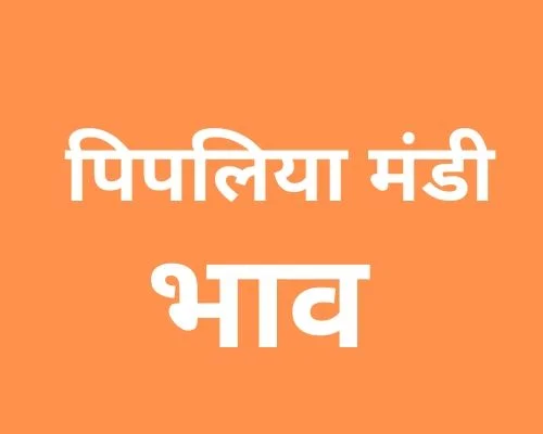 Pipliya Mandi - पिपलिया मंडी मंडी भाव 07-10-2022