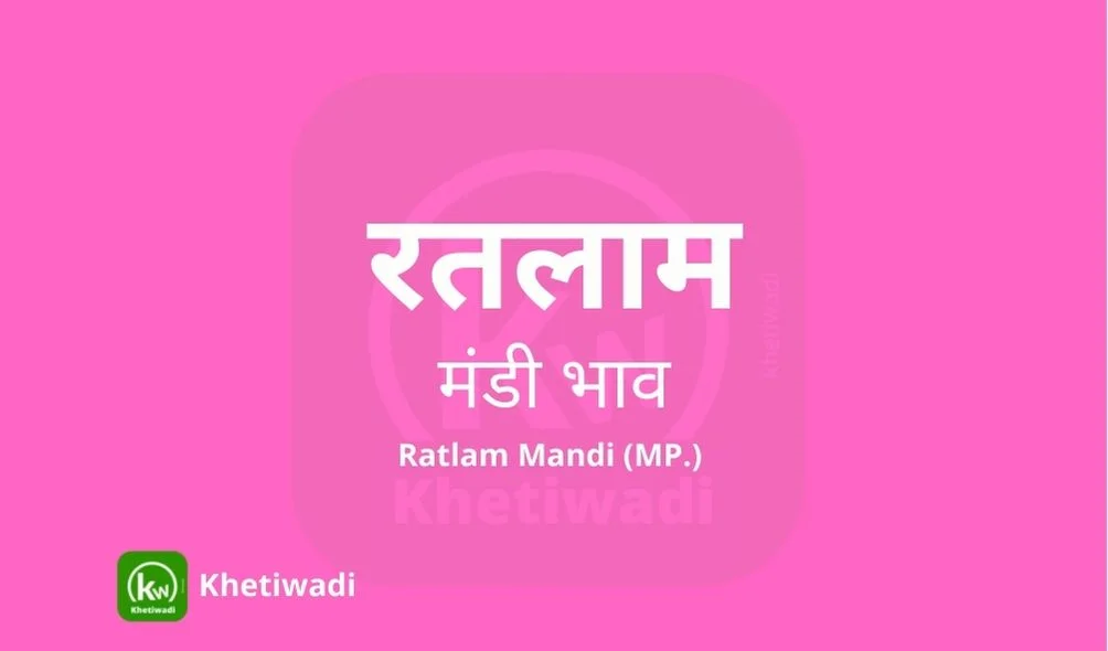 Ratlam Mandi - रतलाम मंडी मंडी भाव 27-06-2022