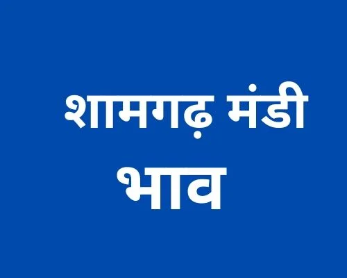 Shamgarh Mandi - शामगढ़ मंडी मंडी भाव 23-12-2022