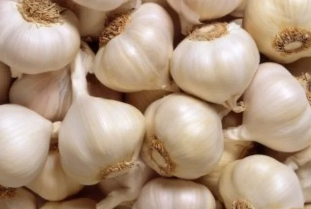 नया देशी लहसुन