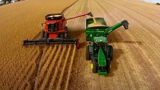 नया सोयाबीन